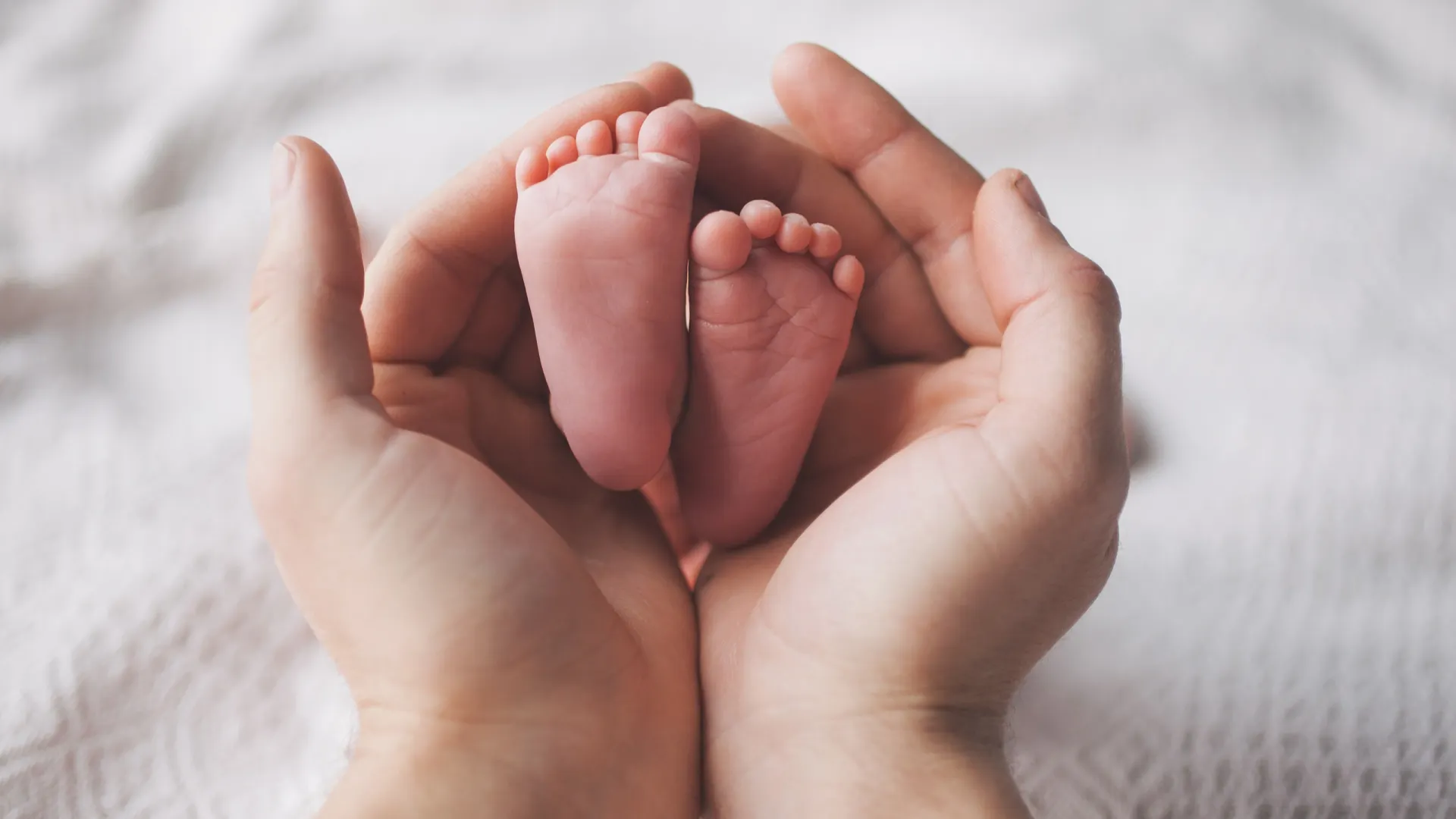 Фото: MakeStory Studio/Shutterstock/Fotodom