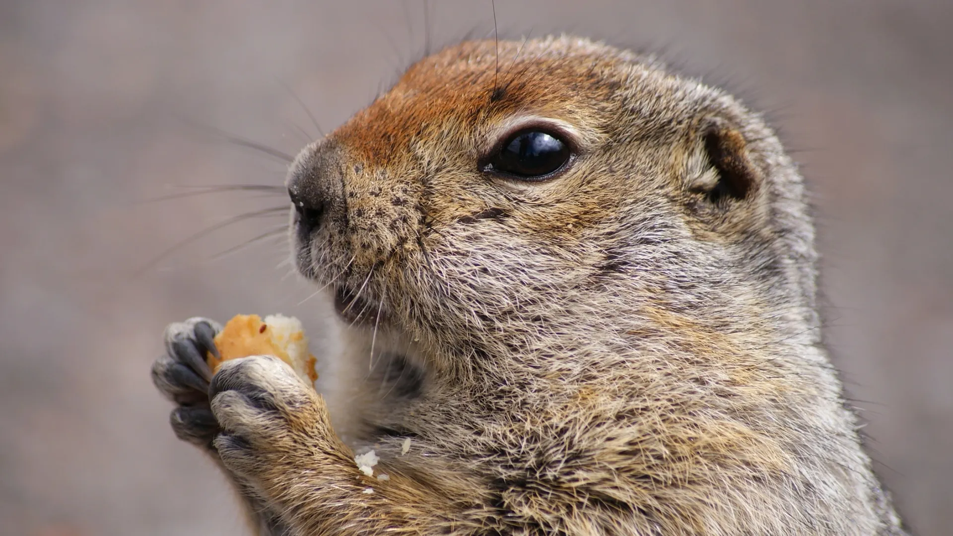 Lateman/Shutterstock/Fotodom