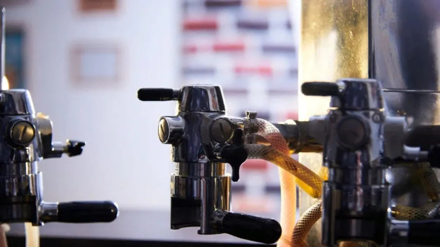 Фото: Maksim Korabelshikov/Shutterstock/Fotodom