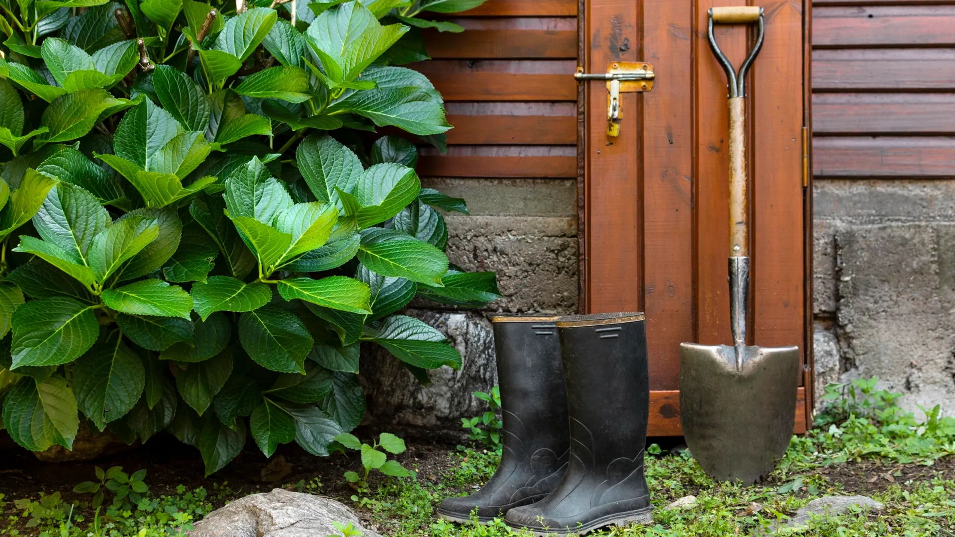 Фото: Freepik.com