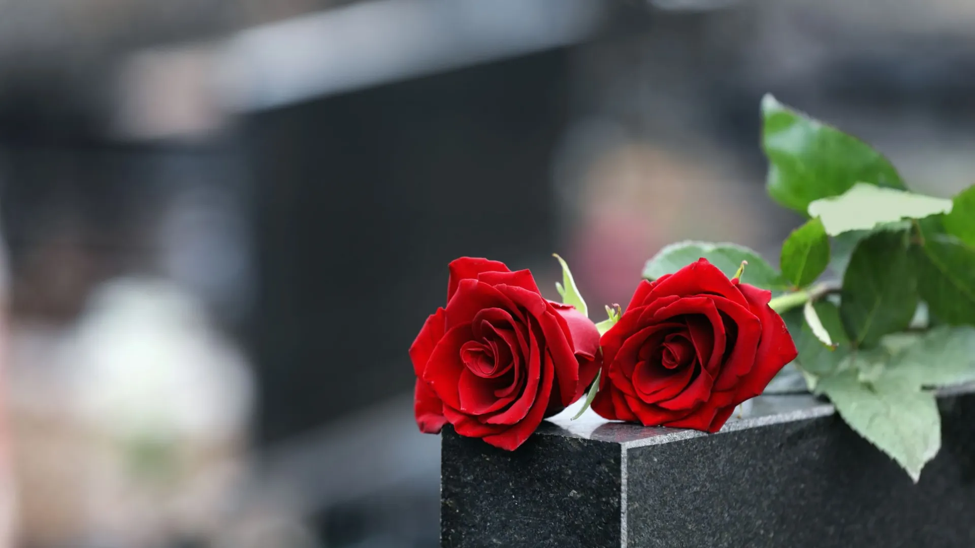 Фото: New Africa/Shutterstock/Fotodom