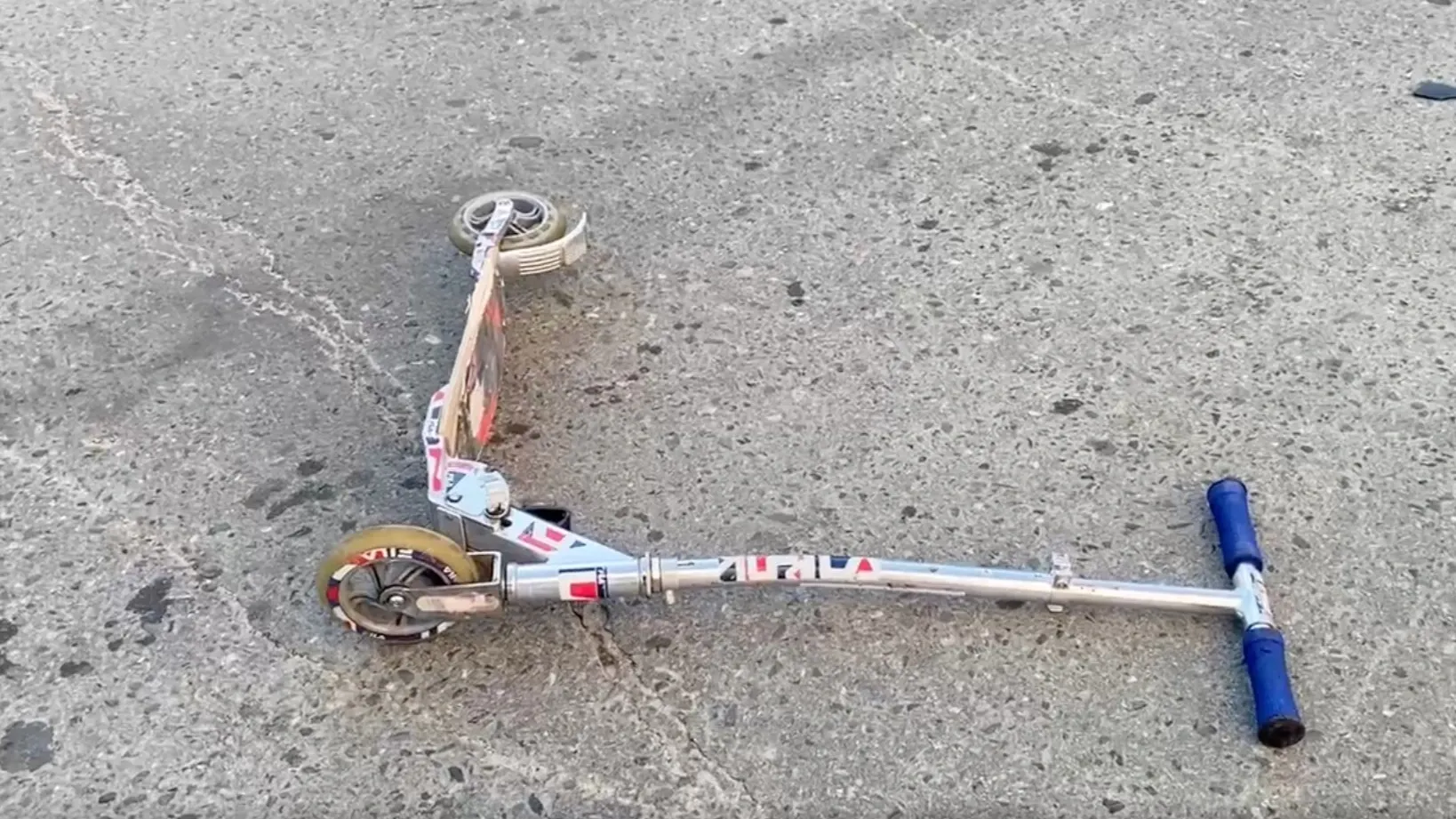 Кадр из видео: Дарья Чебоха/«Ямал-Медиа»