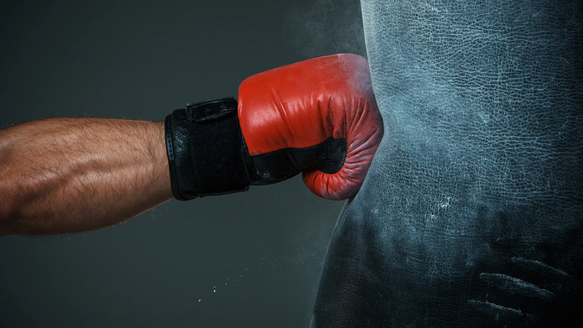 Фото: Master1305/Shutterstock.com