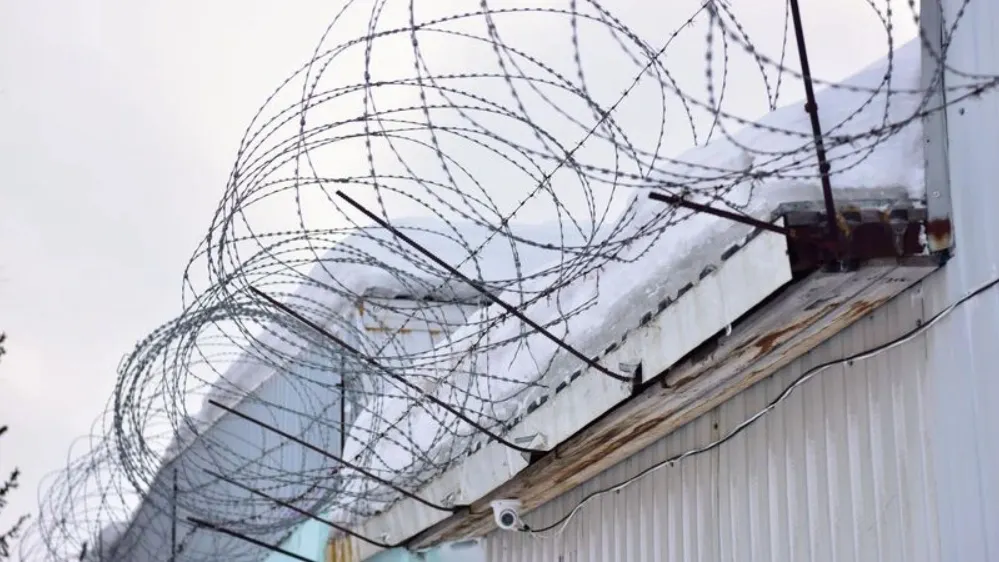 Фото: Андрей Ткачев/«Ямал-Медиа»