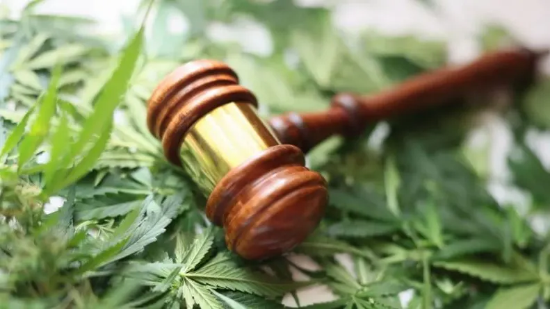 Фото: H_Ko/Shutterstock/Fotodom