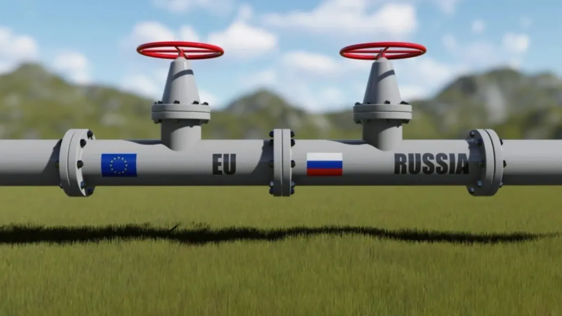 Фото: dragancfm/Shutterstock/Fotodom