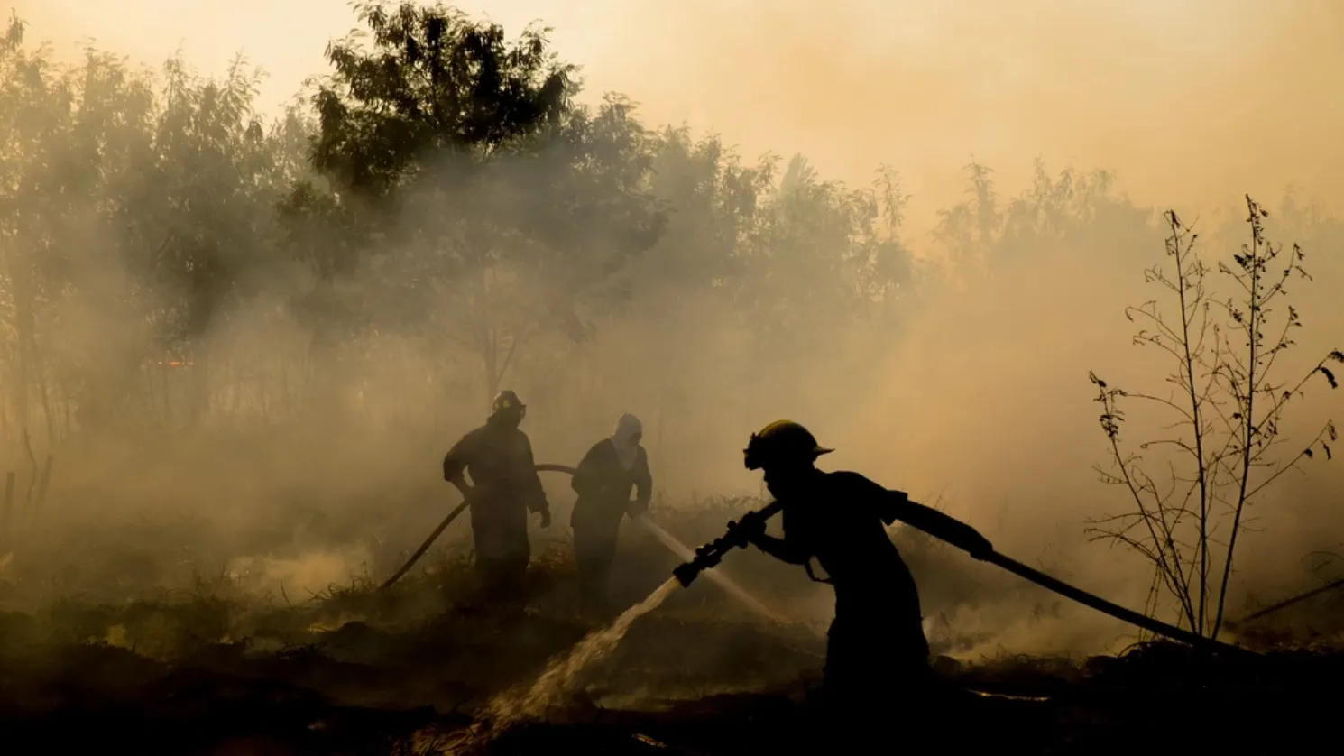 Фото: shutterstock.com/chuangz