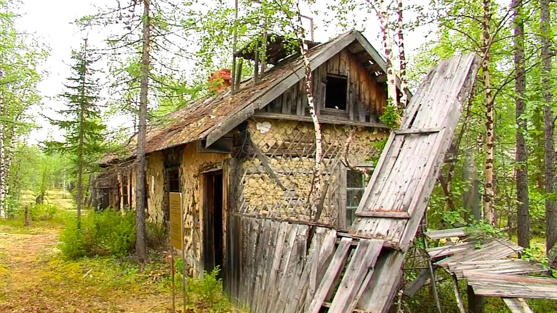 Фото: «Ямал-Медиа»