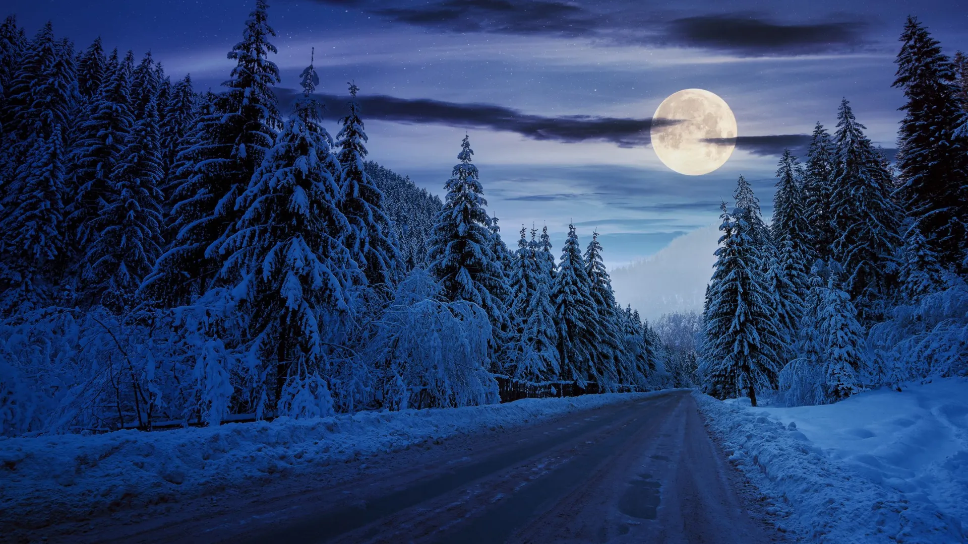 Фото: Mike Pellinni/Shutterstock/Fotodom