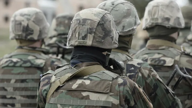 Фото: Bumble Dee/Shutterstock/Fotodom