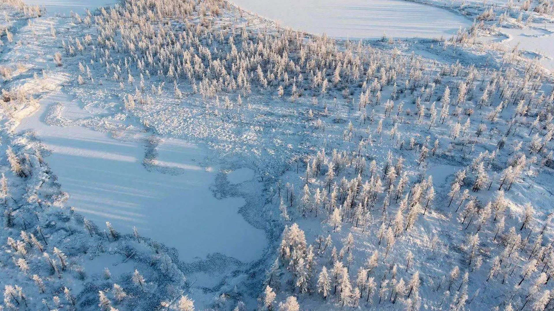 Фото: t.me/yamal_arctic