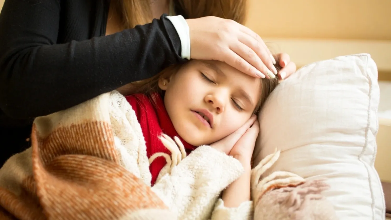 Фото: kryzhov/Shutterstock/Fotodom