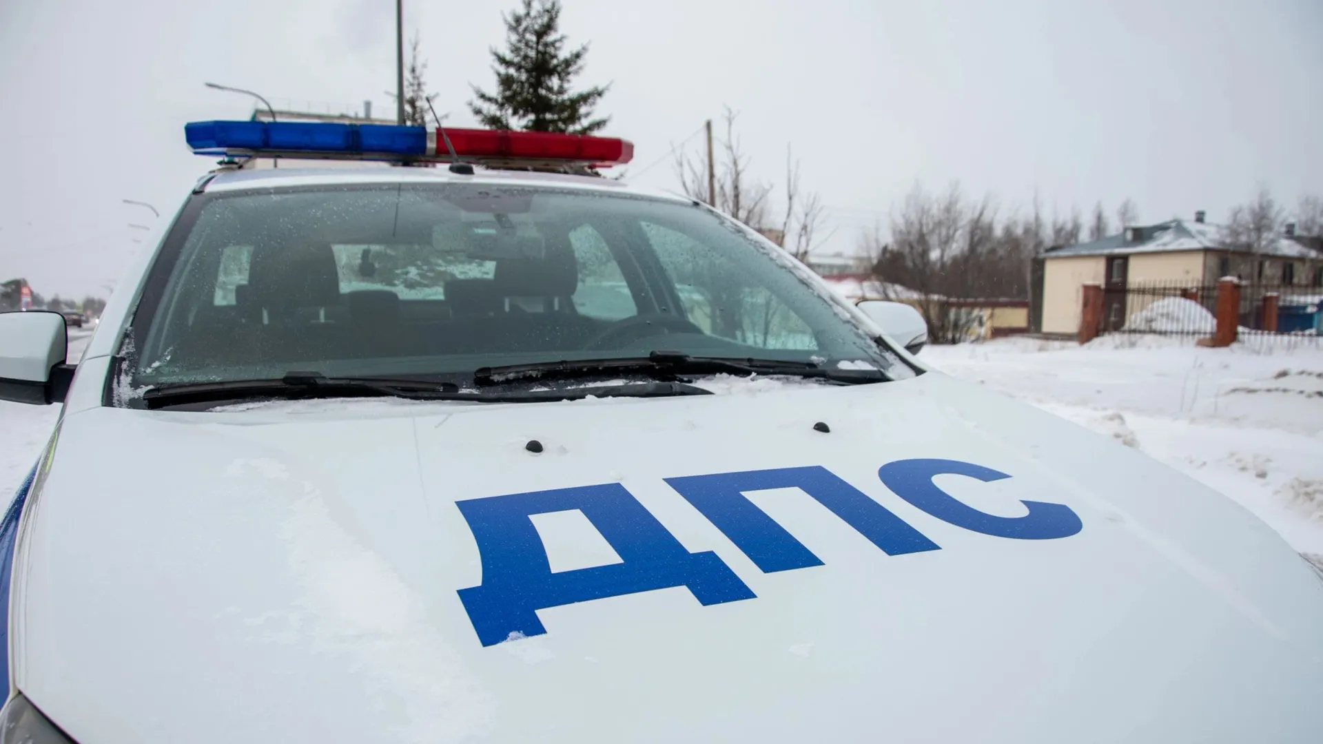 Фото: Юрий Здебский/«Ямал-Медиа»