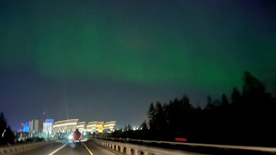 Фото:  t.me/VORONOV89