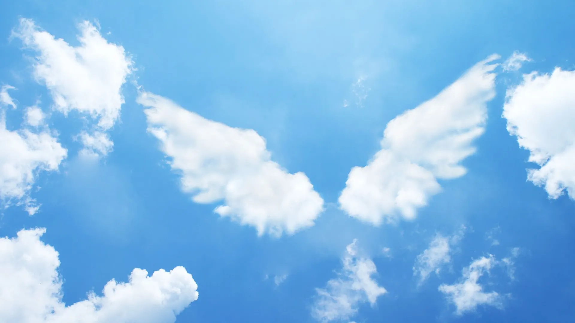 Фото: phloxii/Shutterstock/Fotodom