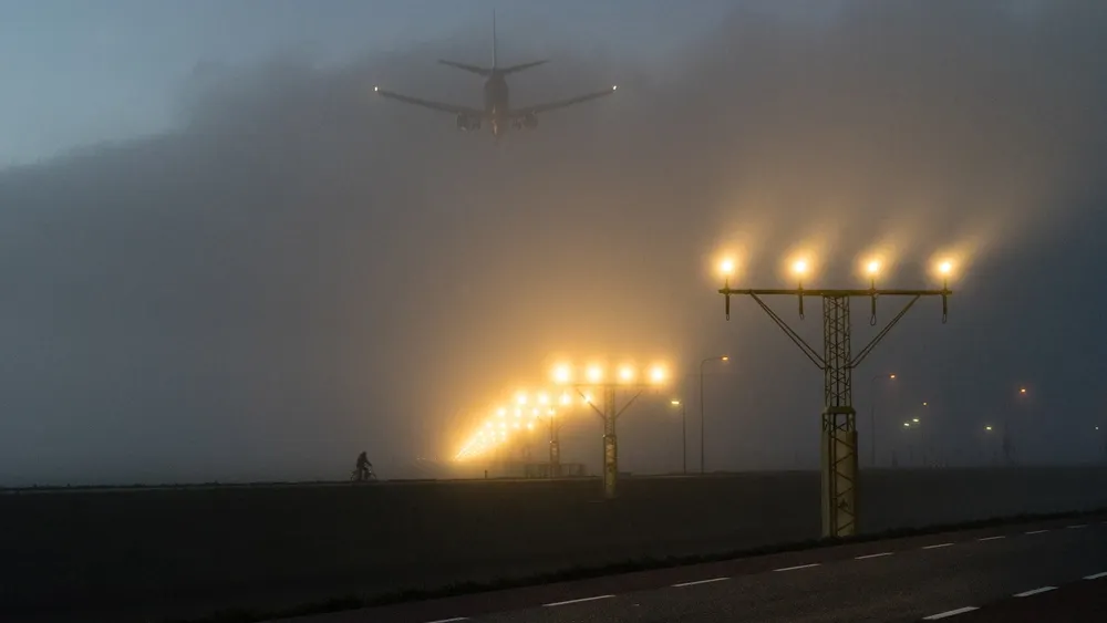 Фото: Henry Oude Egberink/shutterstock.com/Fotodom