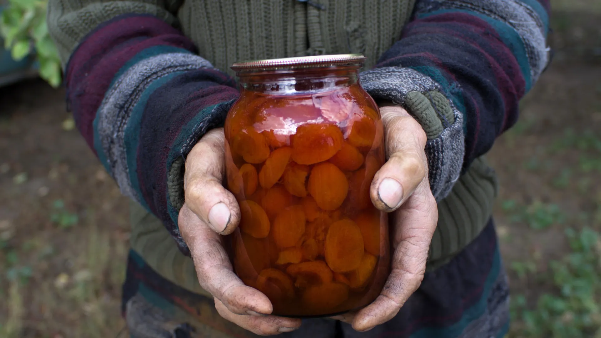 Фото: Yuri Leo/Shutterstock/Fotodom