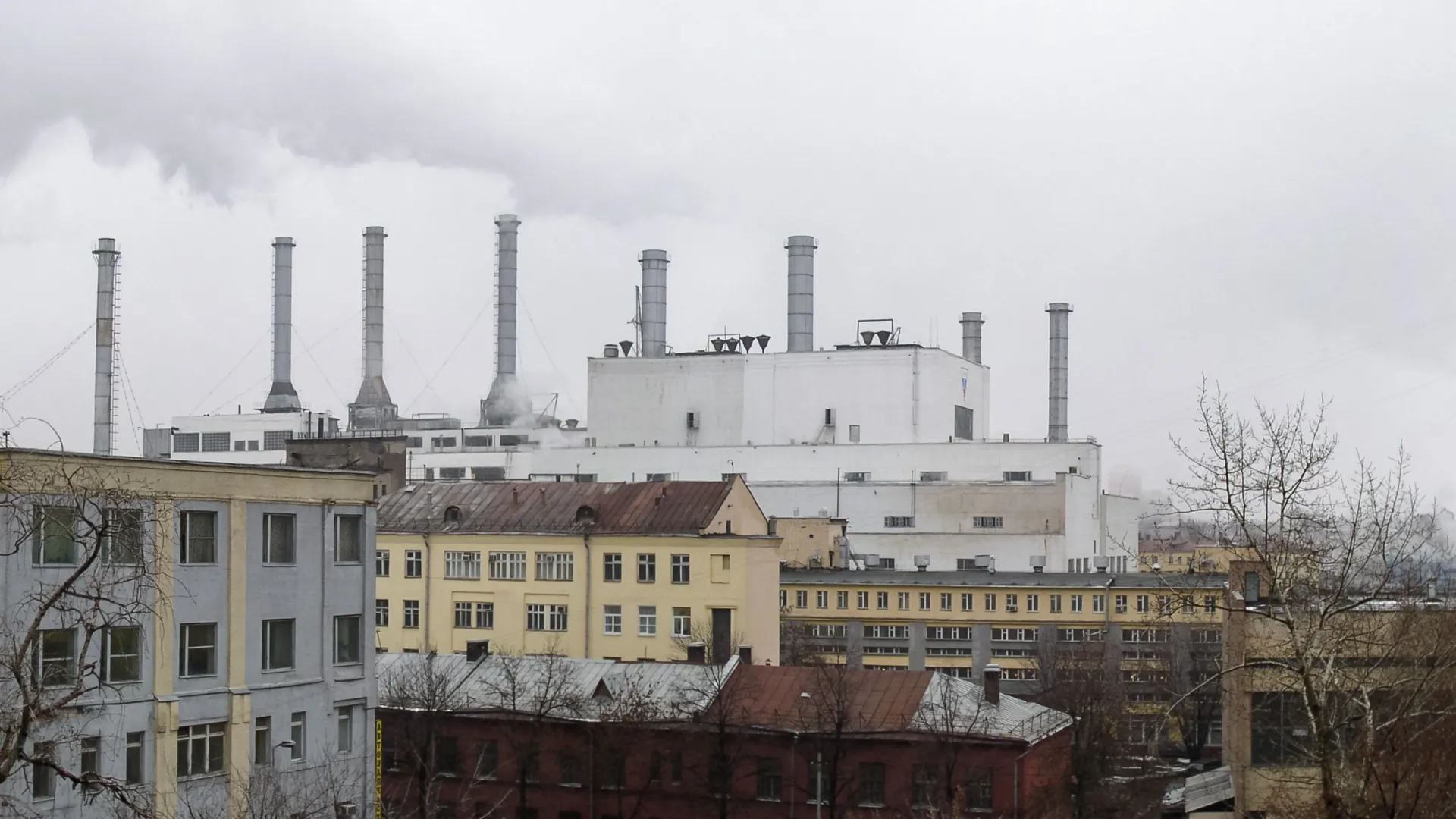 Фото: Semyon K/Shutterstock/Fotodom