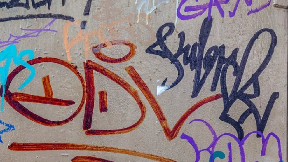 Фото: A_Lesik/shutterstock.com/Fotodom