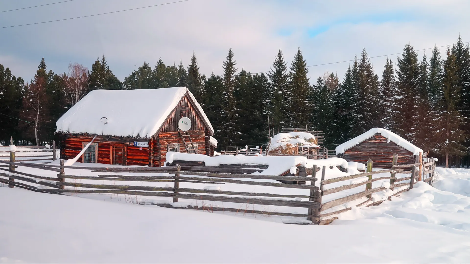 Фото: Андрей Ткачев/«Ямал-Медиа»