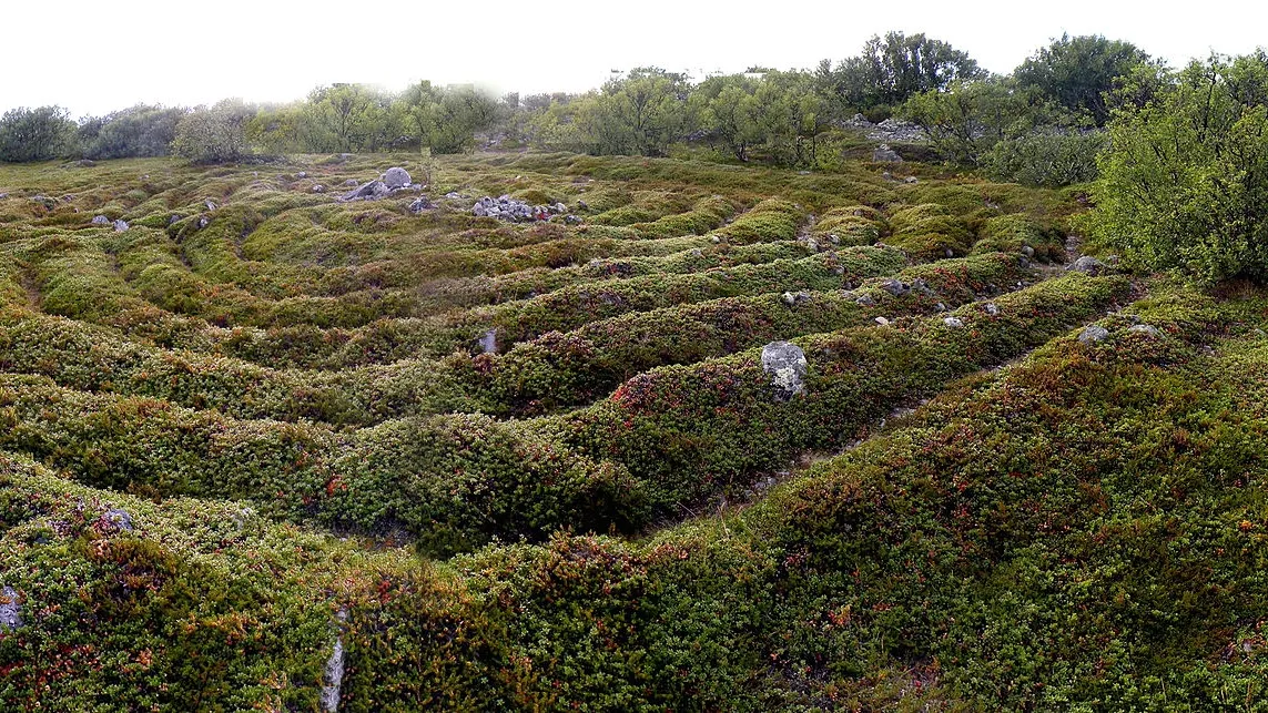 Фото: Vitold Muratov/Викимедиа