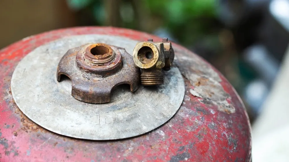 Фото: HenadziPechan/Shutterstock/Fotodom