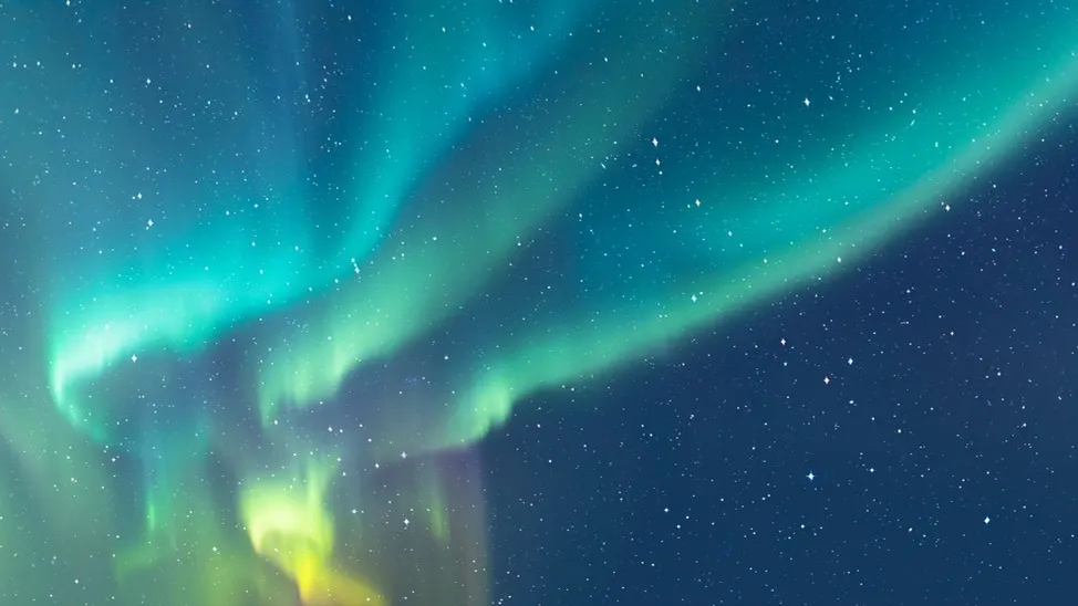 Фото: muratart/Shutterstock/Fotodom