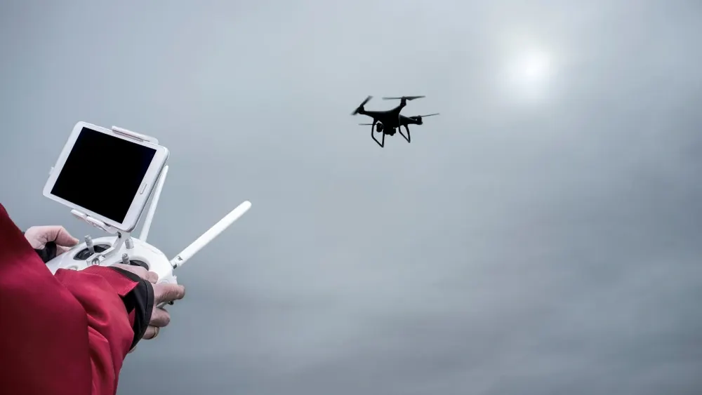 Фото: WH_Pics/Shutterstock/Fotodom