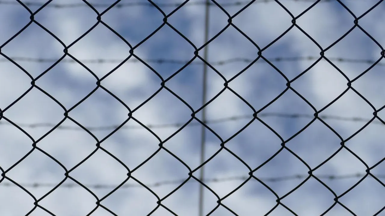 Фото: Pixabay.com