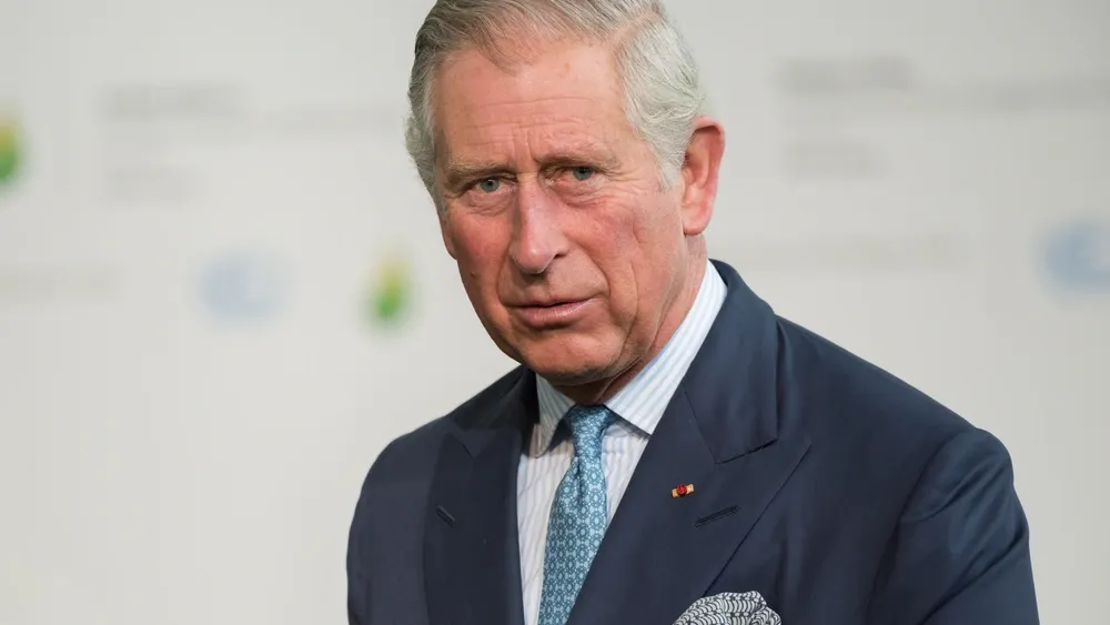 Фото: Frederic Legrand - COMEO/Shutterstock/Fotodom