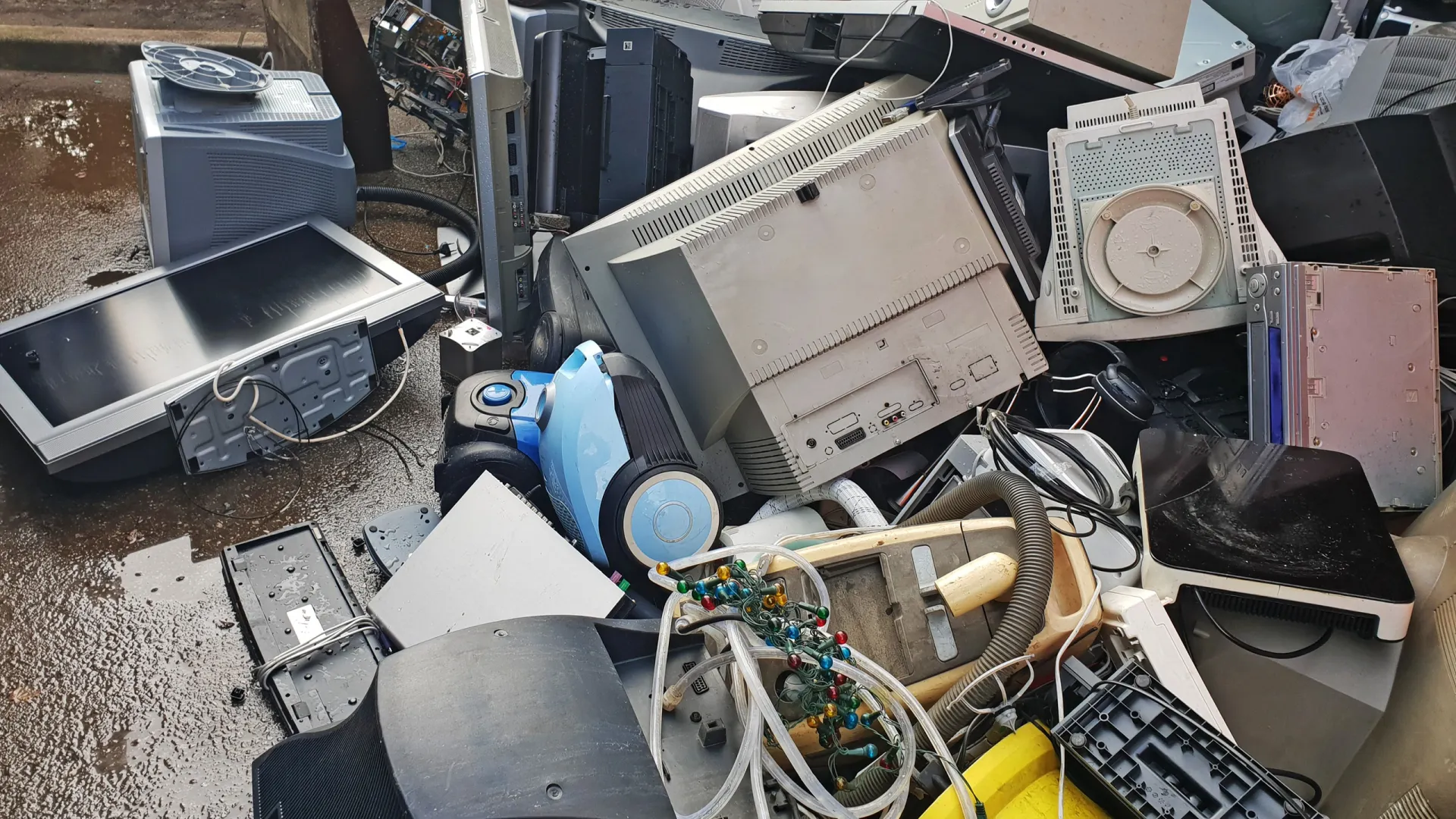 Фото: Ivan Smuk/Shutterstock/Fotodom