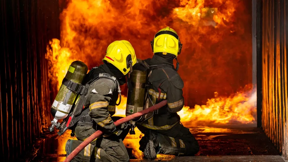 Фото: MAGNIFIER/Shutterstock/Fotodom