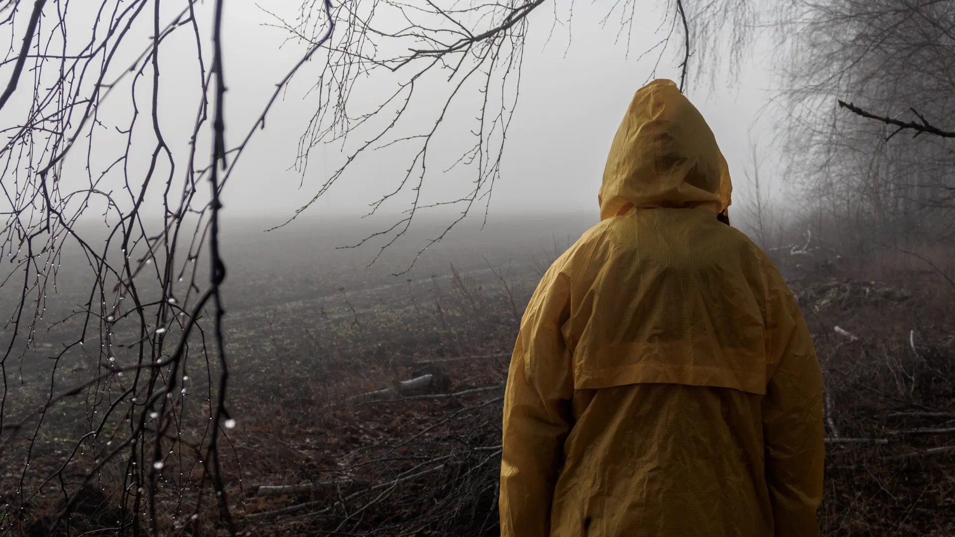 Фото: daniiD/Shutterstock/Fotodom