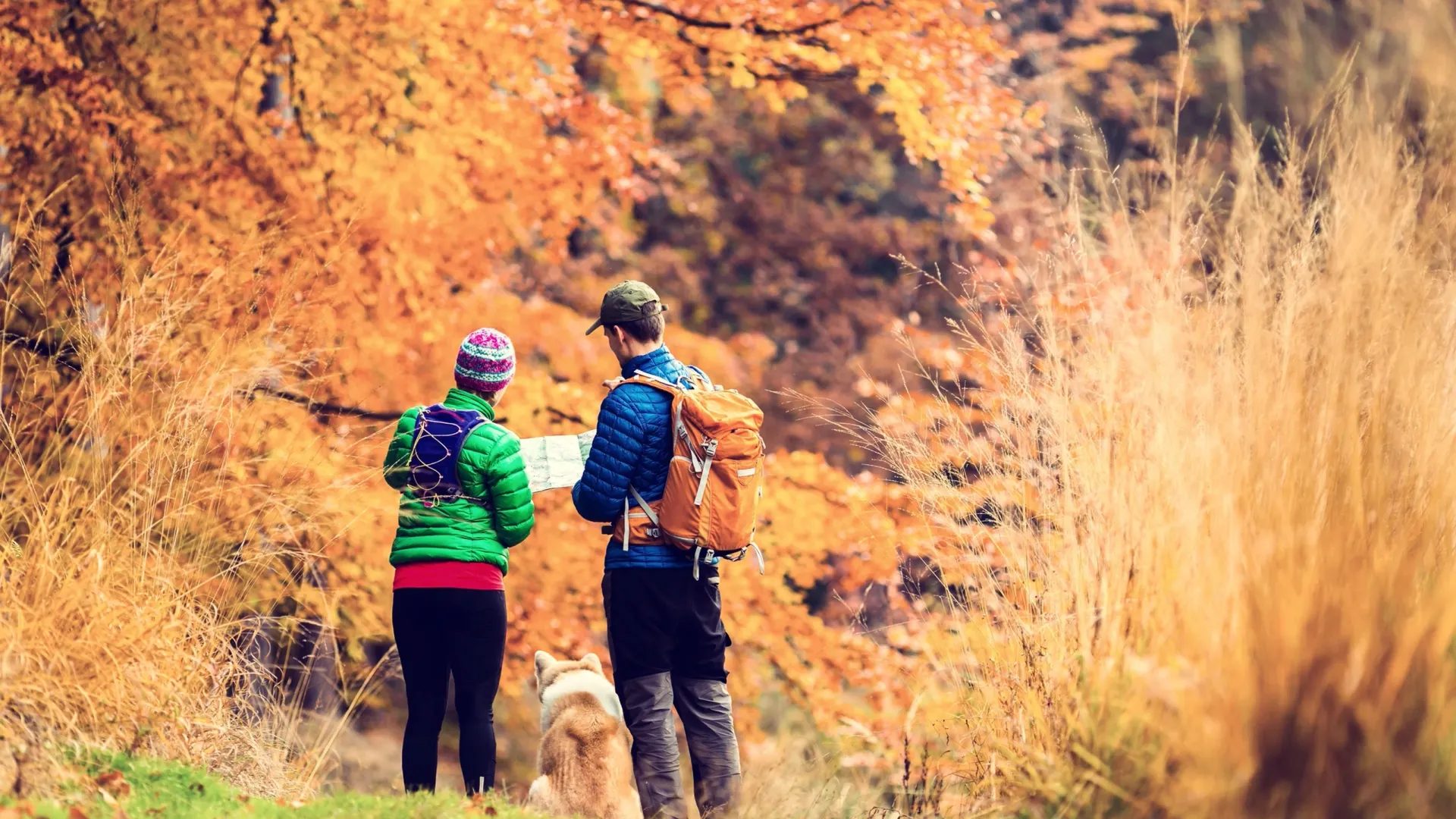 Фото: Blazej Lyjak/Shutterstock/Fotodom