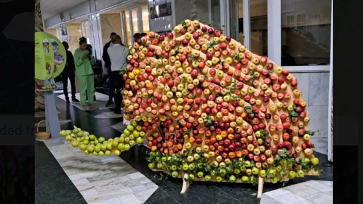 Фото: «Ямал-Медиа»