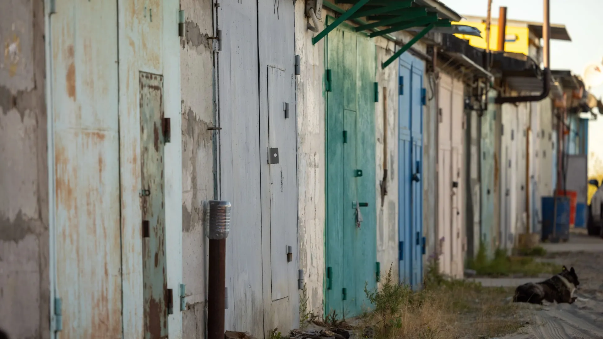 Фото: Юлия Чудинова/«Ямал-Медиа»