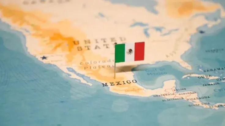 Фото: hyotographics/Shutterstock/Fotodom