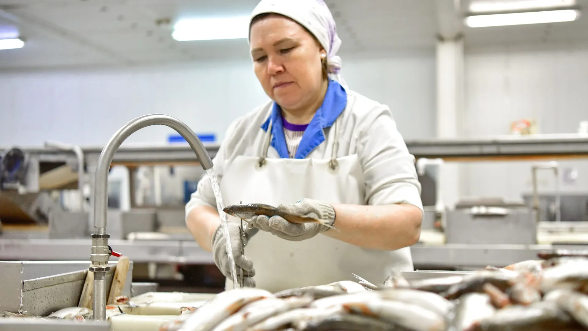 Фото: Андрей Ткачев/«Ямал-Медиа»