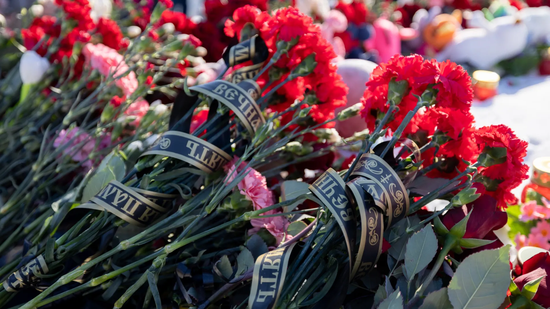 Фото: Сергей Зубков/«Ямал-Медиа»