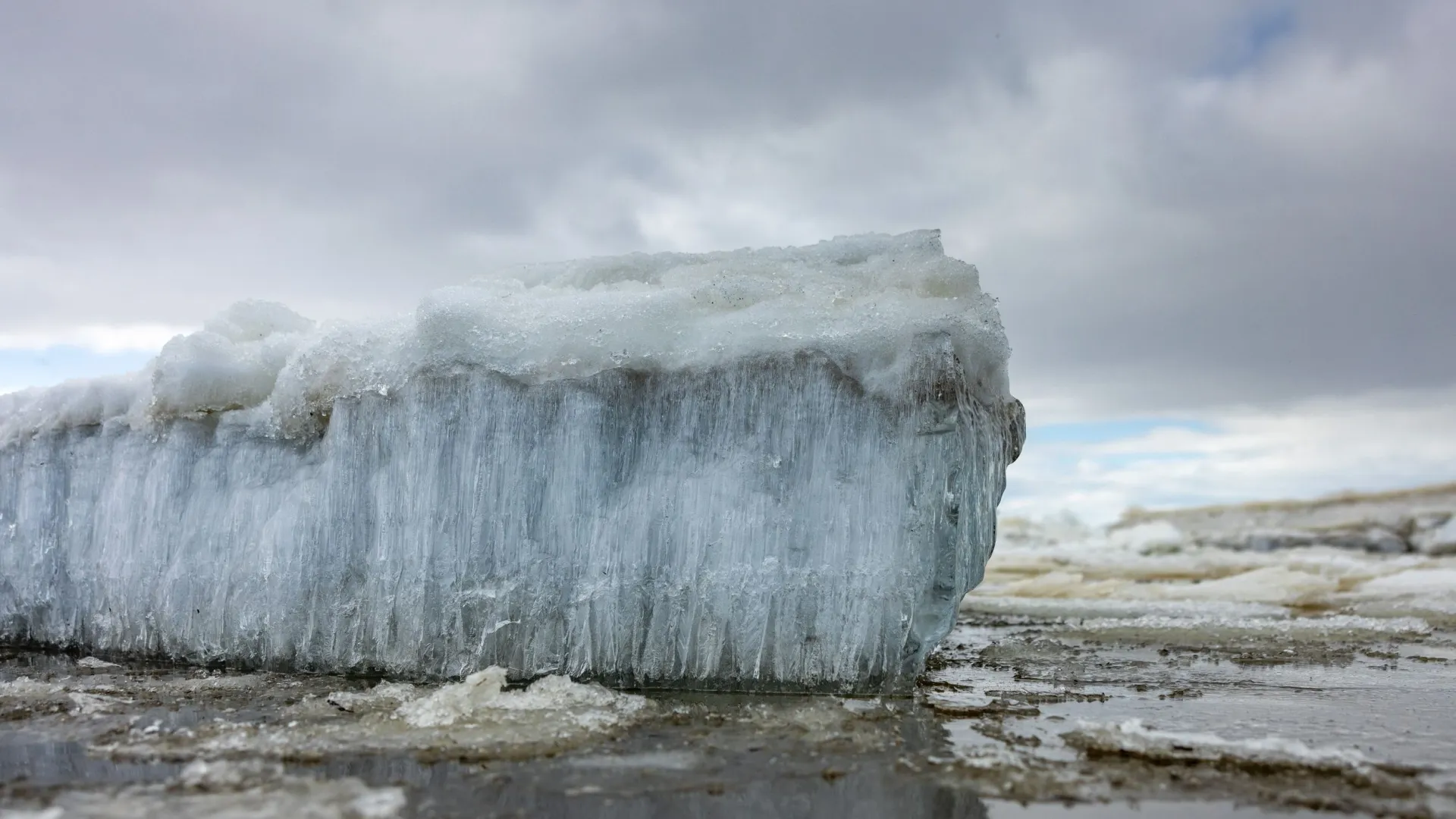 pic
