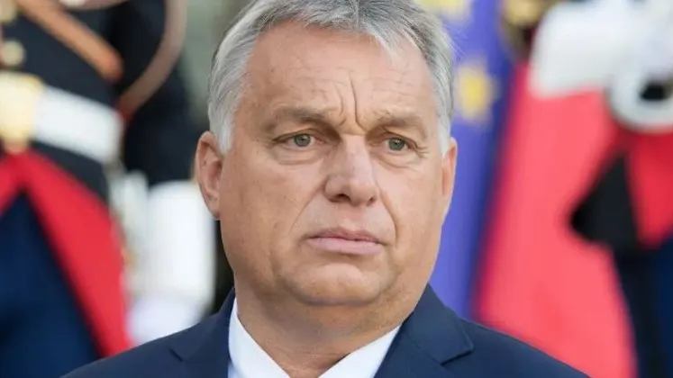 Фото: Frederic Legrand - COMEO/Shutterstock/Fotodom