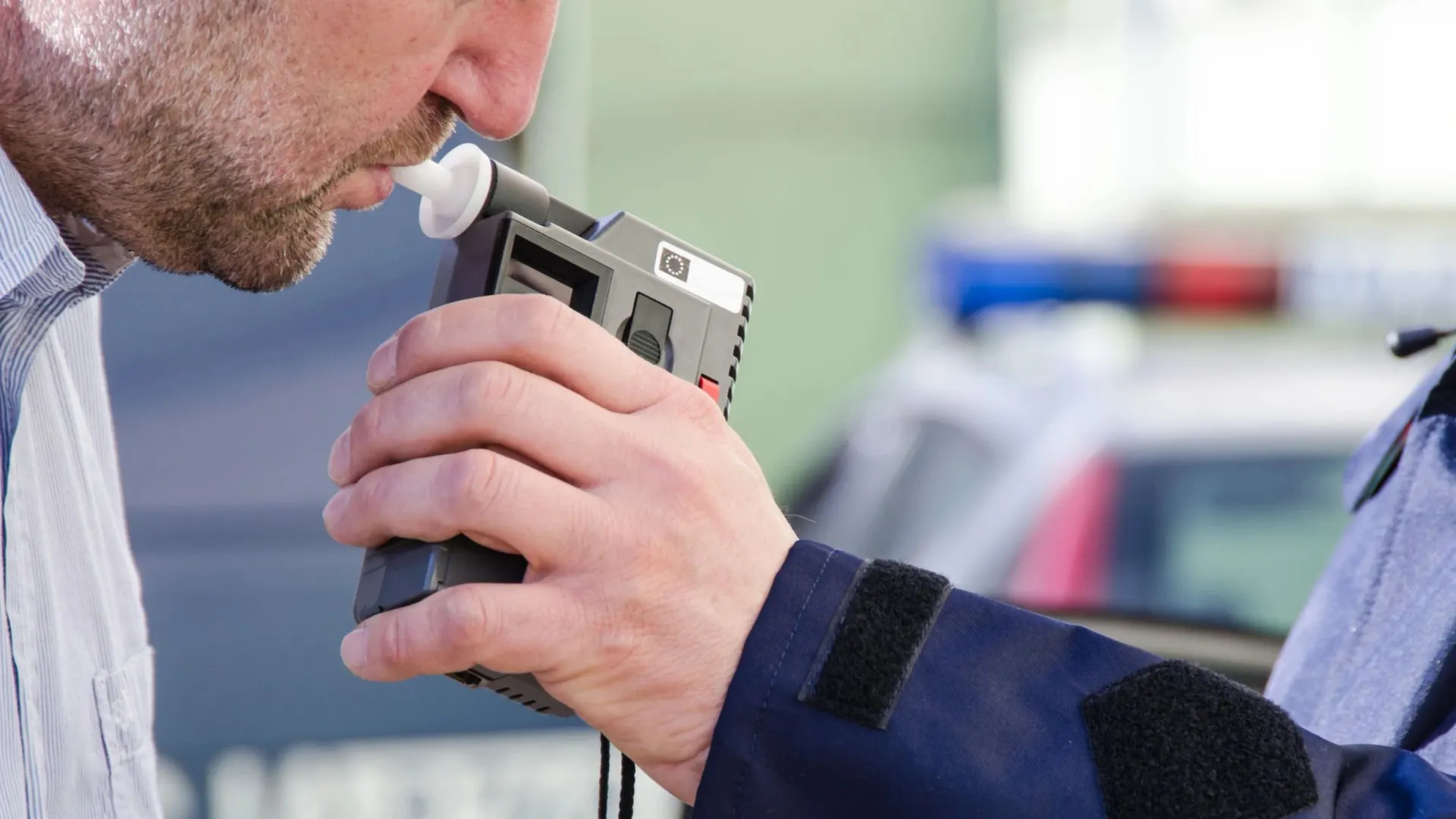 Фото: Monika Gruszewicz/Shutterstock/Fotodom