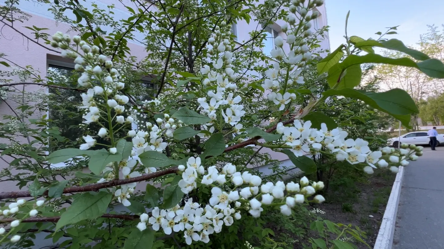 Фото: Ольга Климова/«Ямал-Медиа»