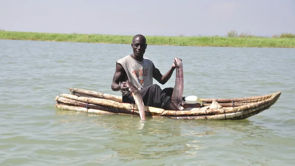 Фото: Marcel Brekelmans/Shutterstock/Fotodom