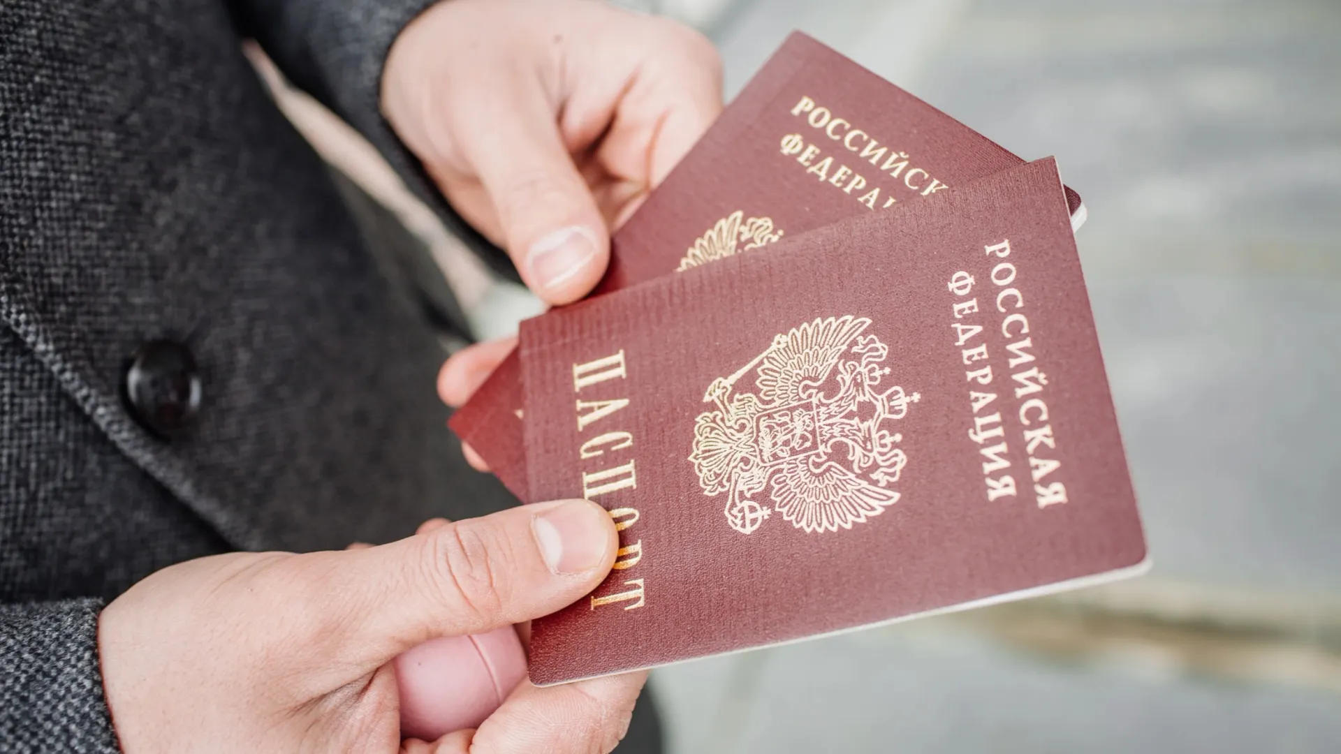 Фото: PRESSLAB/Shutterstock/Fotodom