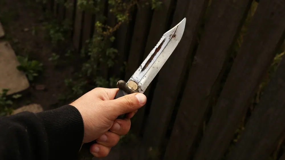 Фото: SergeyKPI/Shutterstock/Fotodom