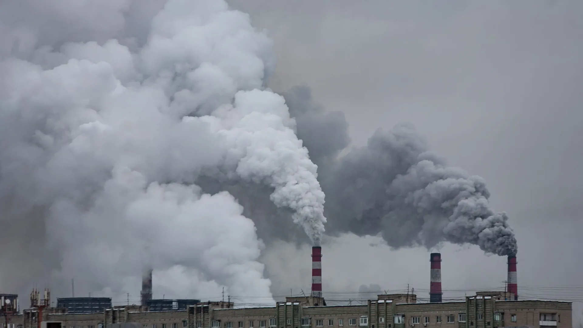 Фото: kapichka/Shutterstock/Fotodom