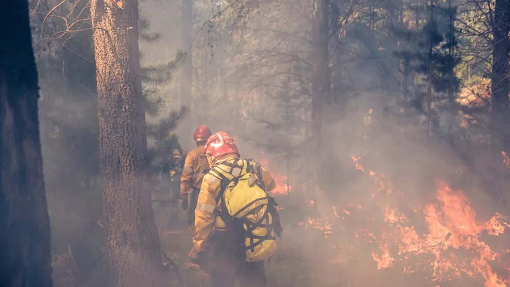 Gonzalo Keogan / Shutterstock.com