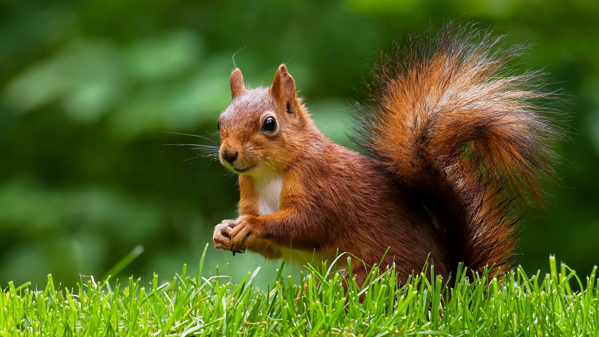 Фото: Nikolay Zaborskikh/Shutterstock/Fotodom