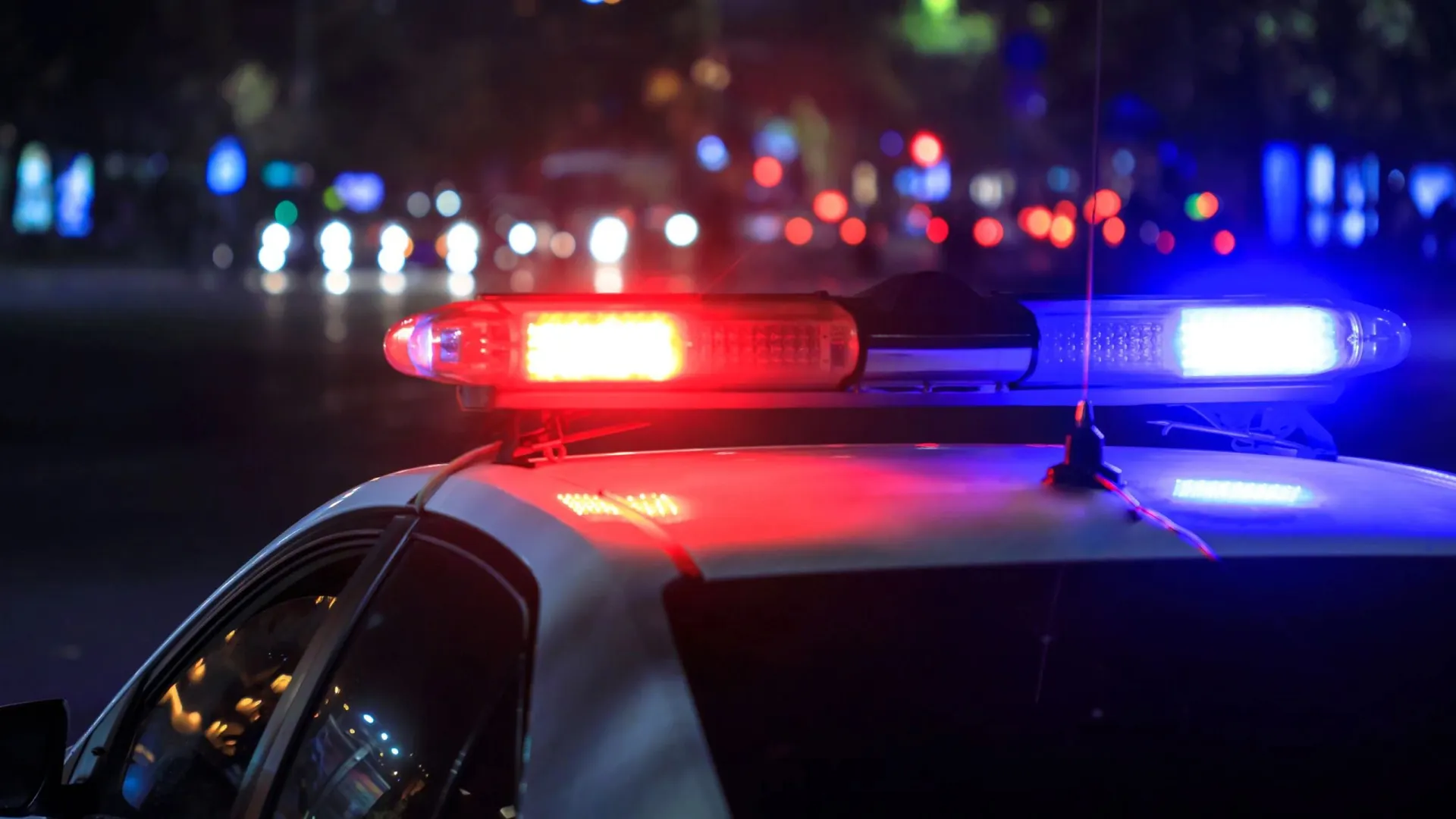 Фото: Daniel Tadevosyan/Shutterstock/Fotodom